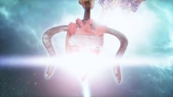 Episódio 14