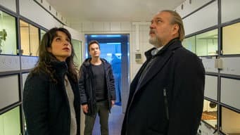 Episódio 8
