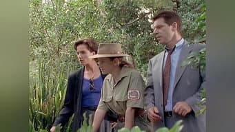 Episódio 11