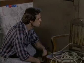 Episódio 7