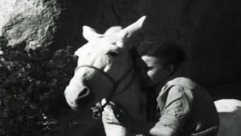 Episódio 6