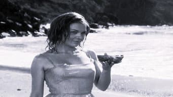 Episódio 28