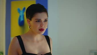 Episódio 28