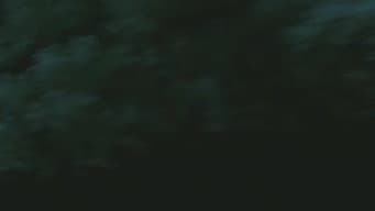 Contagem Regressiva Para o Acidente