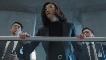 A.E.N.A.