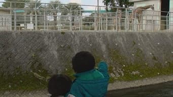 Episódio 8