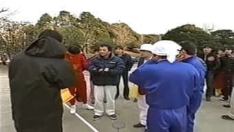 Episódio 5