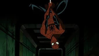 E Surgiu uma Aranha