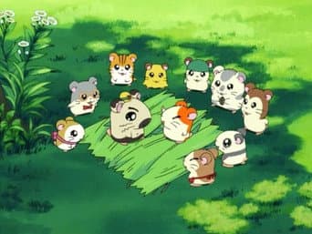 Episódio 3