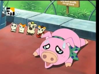 Episódio 66