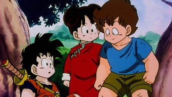 Corre Gohan! Chi-Chi o Espera na Montanha Paozu