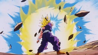 A Luta Terminou... Obrigado Goku!