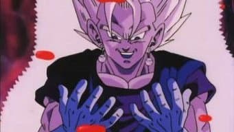 O Que Tem no Estômago de Majin Boo?