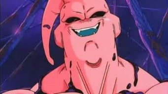 O Segredo de Majin Boo