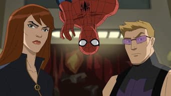 O Homem-Aranha Vingador