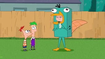 Perry Põe um Ovo
