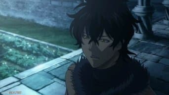 Os Touros Negros