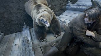 O Urso e a Bela Donzela