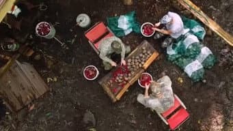 Episódio 12
