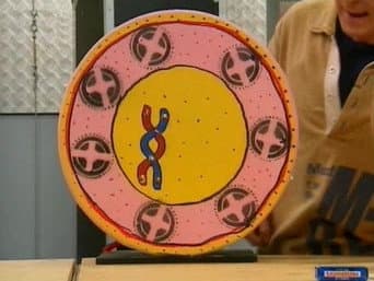 Episódio 83