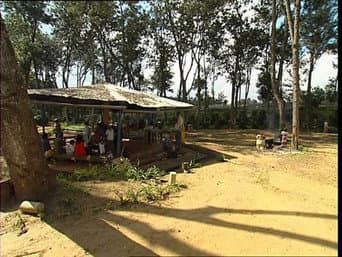 Episódio 208