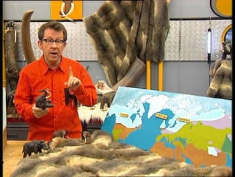 Episódio 325