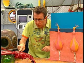 Episódio 385