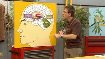 Episódio 462