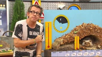 Episódio 470