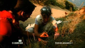 Episódio 527
