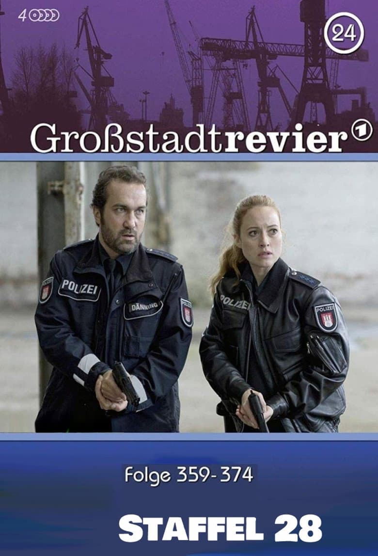 Temporada 28