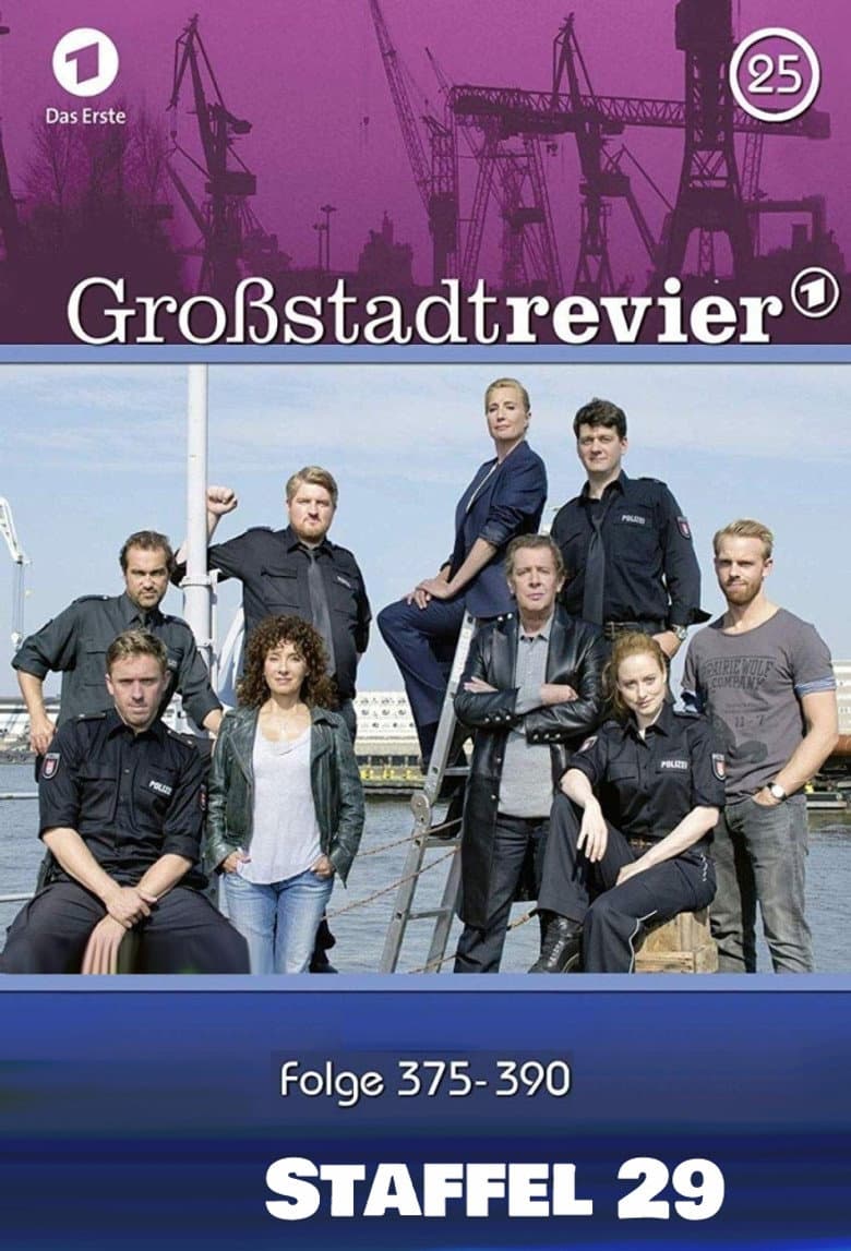 Temporada 29