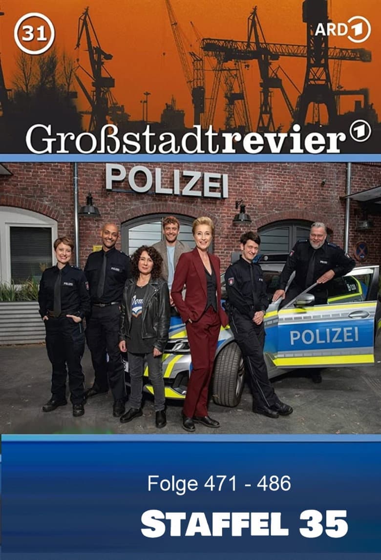 Temporada 35