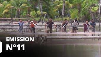 Episódio 11
