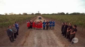 Episódio 8