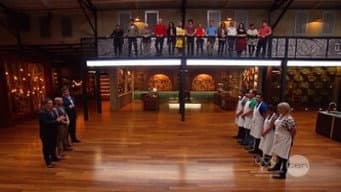 Episódio 11