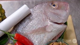 Episódio 54