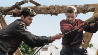 Episódio 17