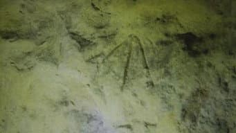 Episódio 23