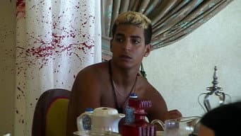 Episódio 26