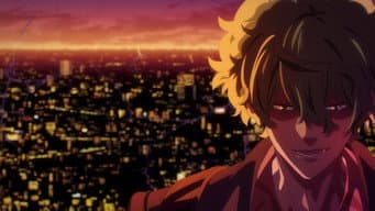 O recuo das Lycoris