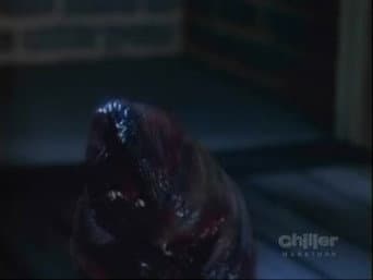 Episódio 13
