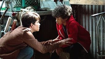 Episódio 12