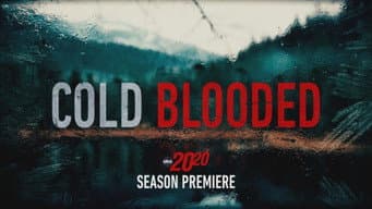 Episódio 1