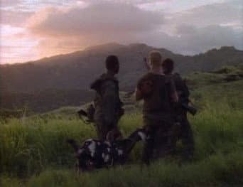 Episódio 7