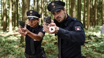 Episódio 7