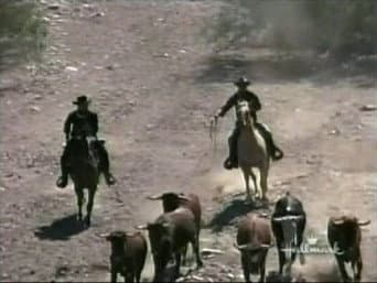 Episódio 7