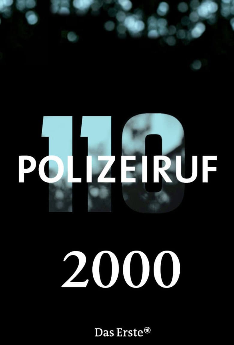 Temporada 29