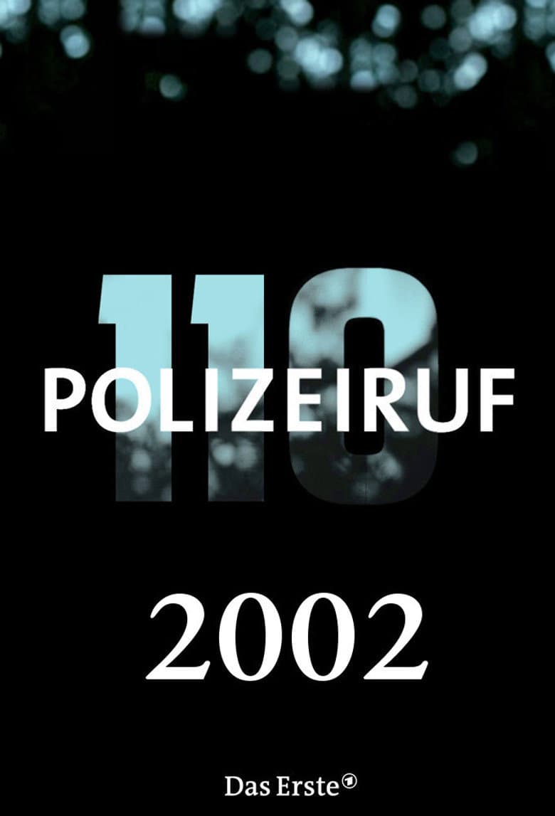 Temporada 31