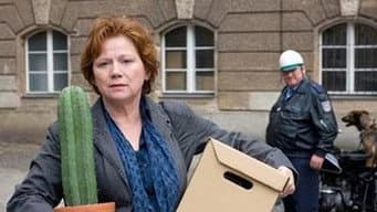Episódio 8